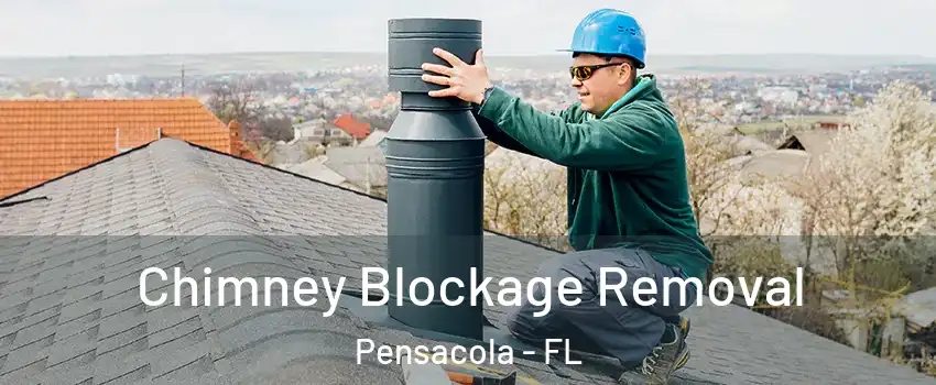  Chimney Blockage Removal Pensacola - FL
