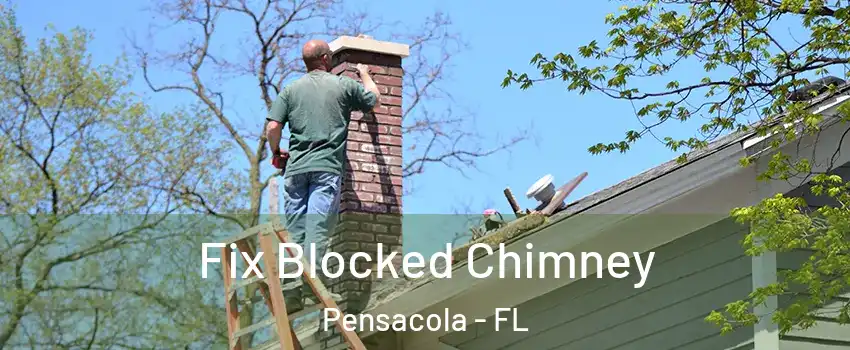  Fix Blocked Chimney Pensacola - FL