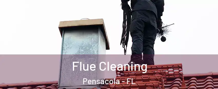  Flue Cleaning Pensacola - FL