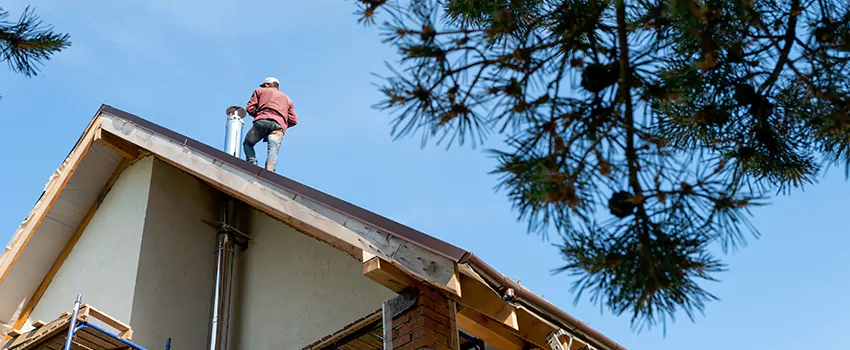 Birds Removal Contractors from Chimney in Pensacola, FL