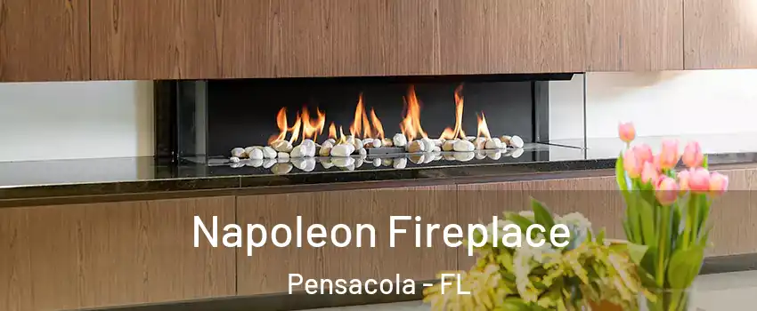  Napoleon Fireplace Pensacola - FL